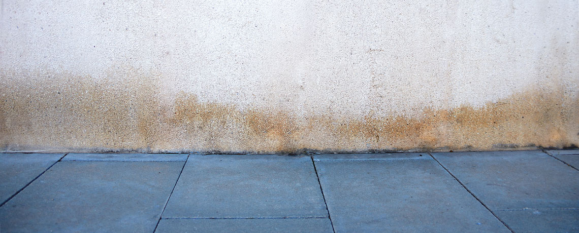 Flood & Water Damage Restoration