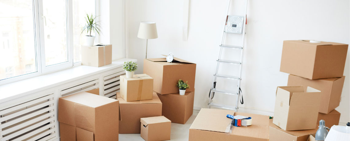 Move In/Out Cleaning