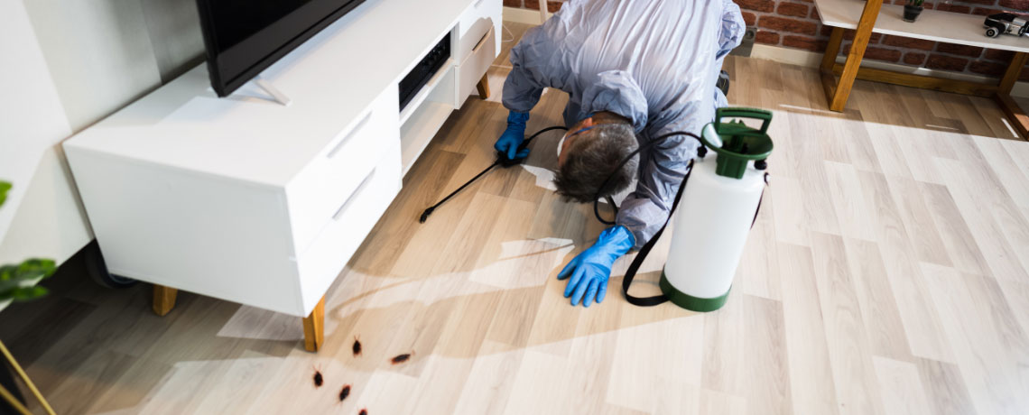 Pest Control