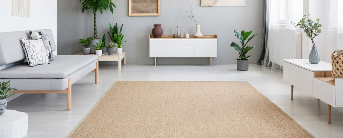 Rugs Cleaning